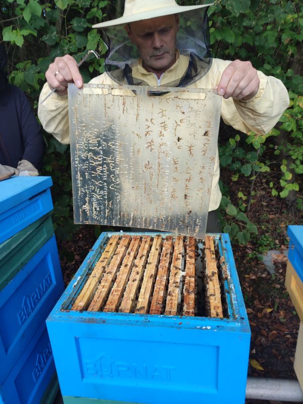 koło pszczelarskie 2