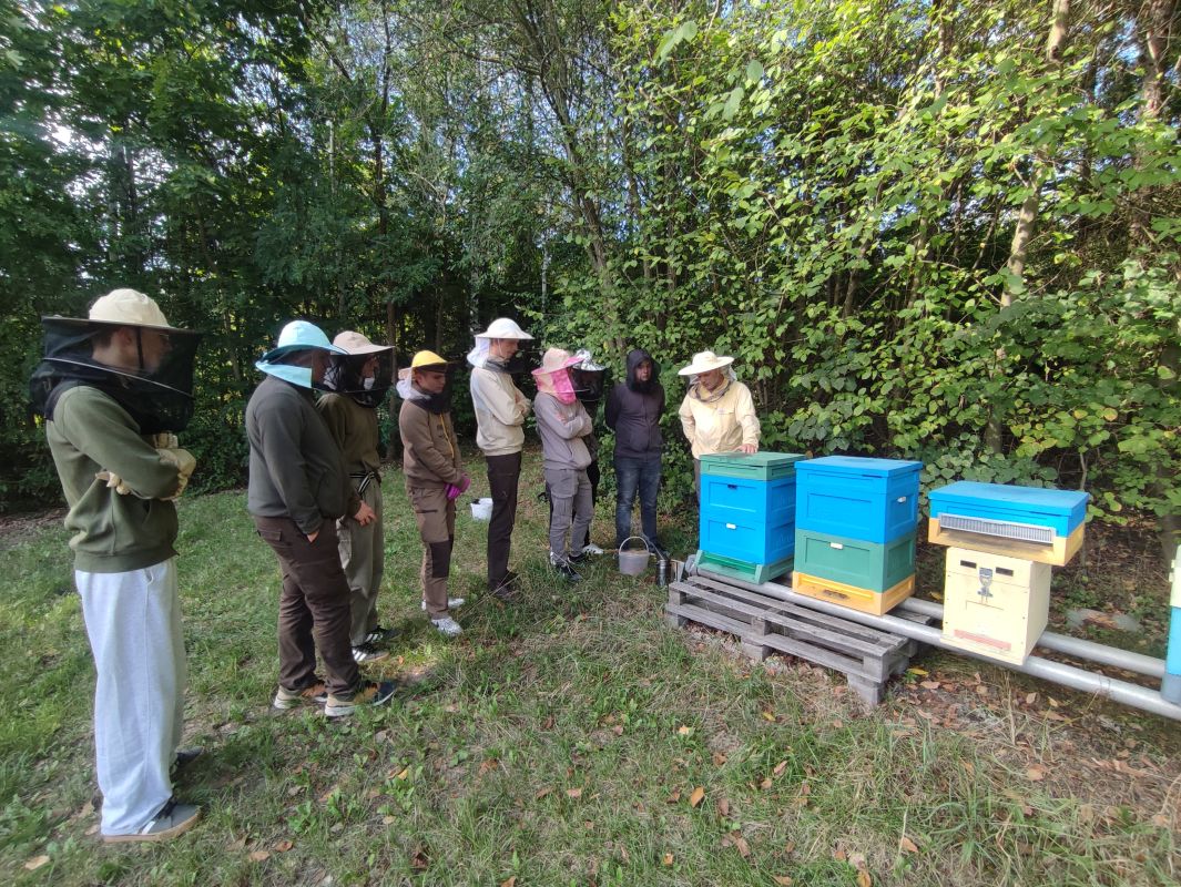 koło pszczelarskie 4