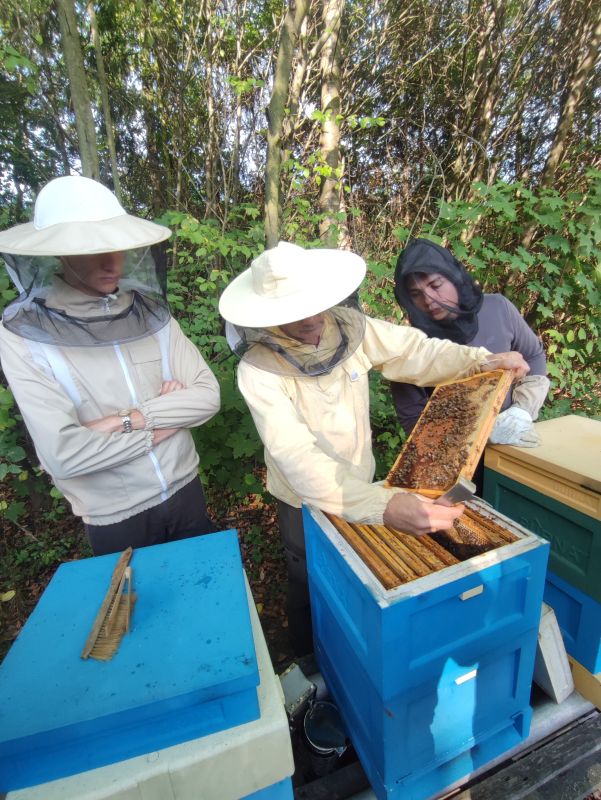 koło pszczelarskie 1