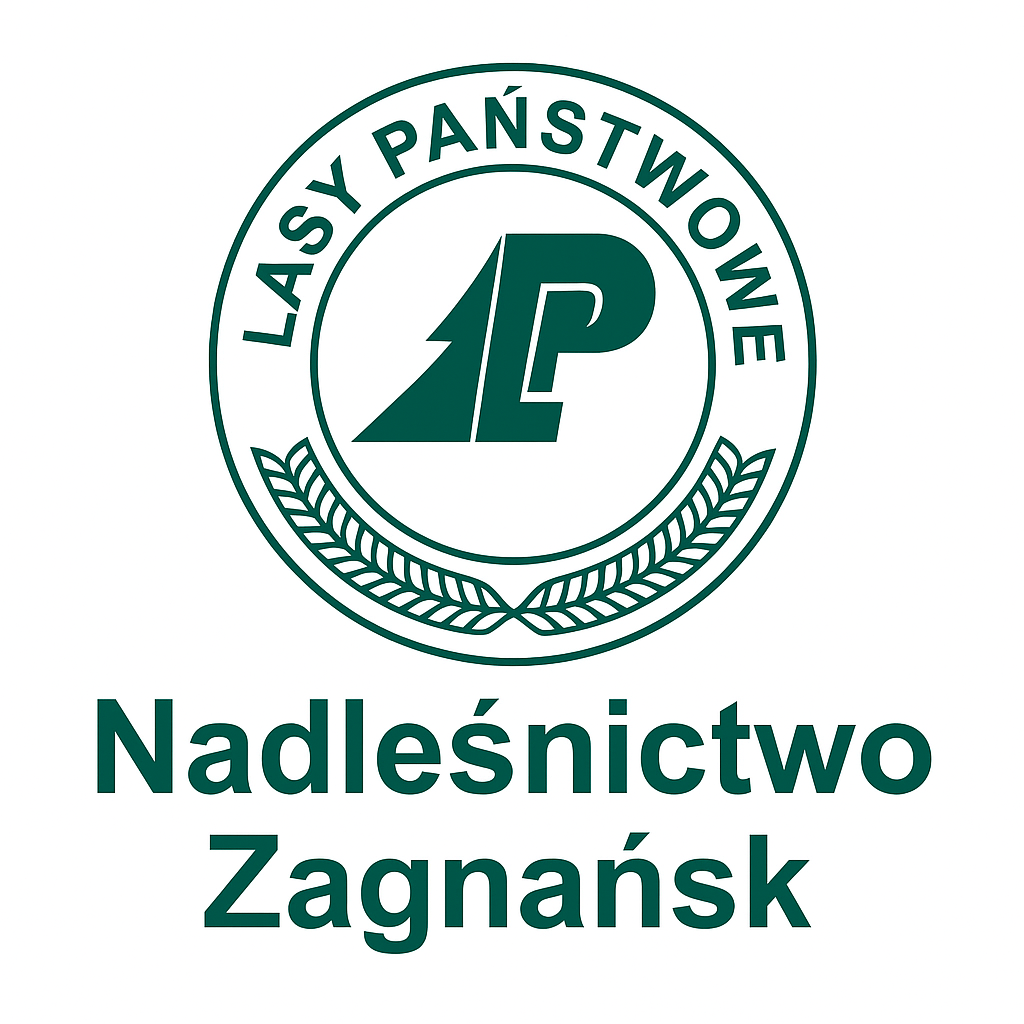 Nadleśnictwo Zagnańsk