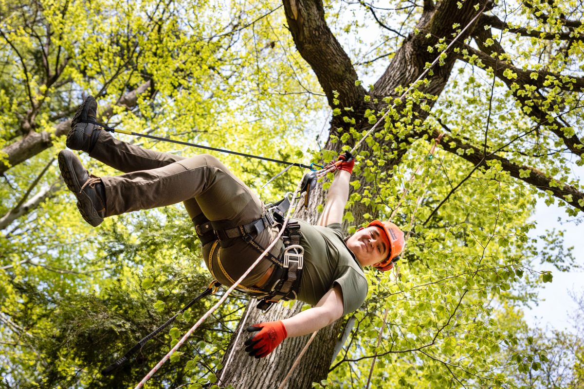 Kurs arborystyczny