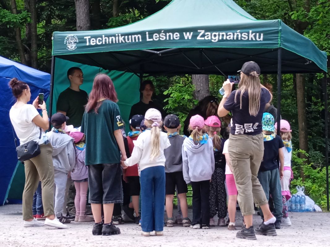 Sokolnicy na Pikniku Leśnego Kompleksu Promocyjnego „Puszcza Świętokrzyska”