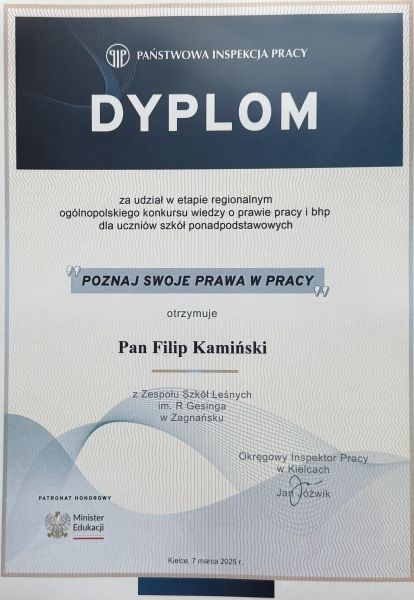 Konkura Państwowej Inspekcji Pracy dyplom Filipa Kamińskiego