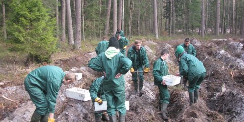 2015-04-18 Praktyka zawodowa klas pierwszych