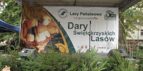 2015-09-20_1 Dary Świętokrzyskich Lasów 2015