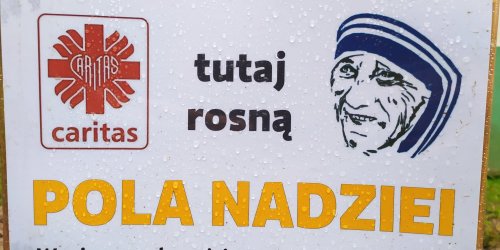17-06-2021 Podsumowanie kampanii „Pola nadziei”