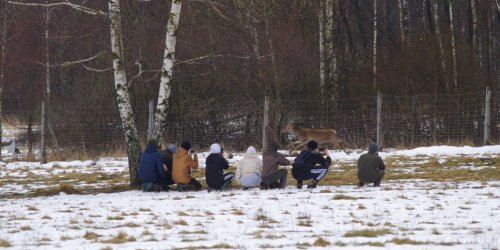05-04-2022 Wyjazd na fermę jeleni