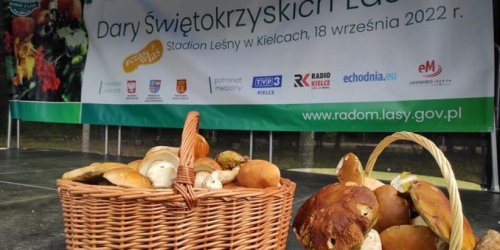 18-09-2022 „Dary Świętokrzyskich Lasów”- jesień 2022