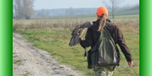 06-11-2019 46. Międzynarodowe Łowy z Sokołami - Pińczów 2019