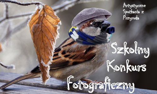 Szkolny Konkurs Fotograficzny - Artystyczne Spotkania z Przyrodą - rozstrzygnięty!